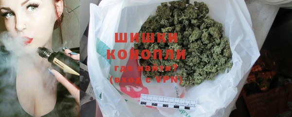 бошки Белокуриха