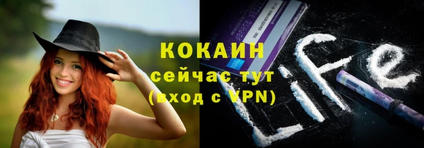 бошки Белокуриха