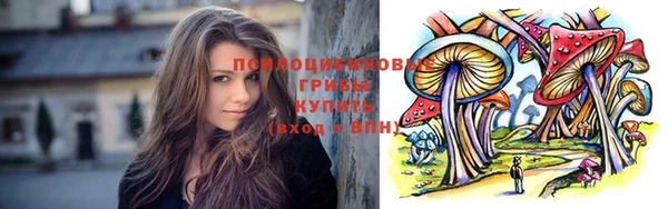 бошки Белокуриха