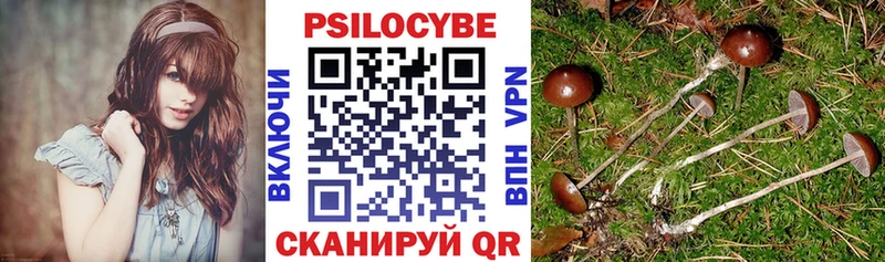 мориарти состав дарнет шоп Мариинский Посад Псилоцибиновые грибы ЛСД